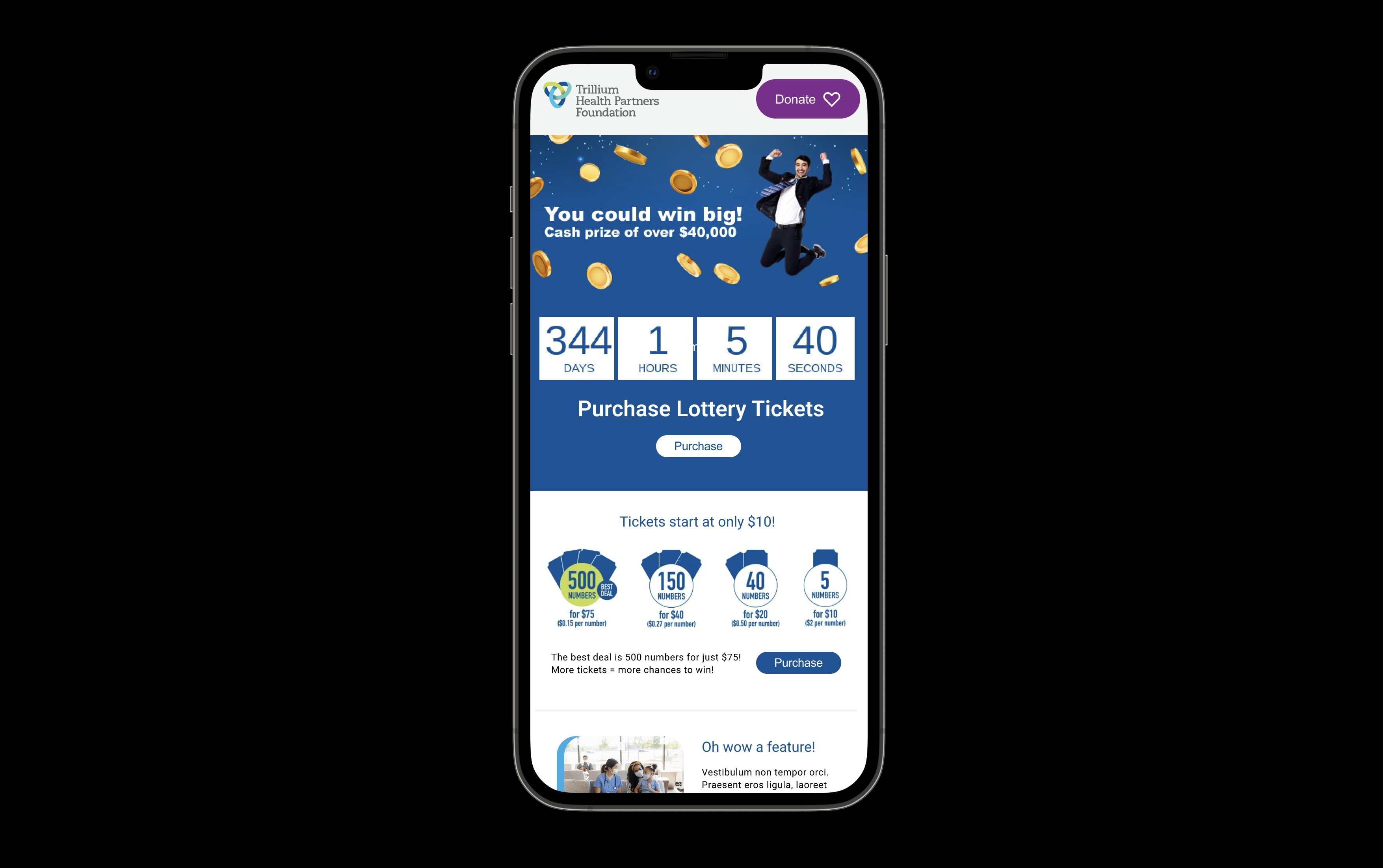 Mobile 50/50 Lottery Setup View